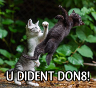 didn't donate uppercut.png