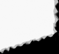 2Page11.gif