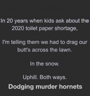 dodging_murder_hornets.jpg
