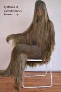 Hairdresser's nightmare.jpg