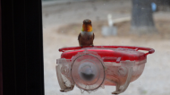 DSC03055.JPG