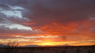 08-26-24 Red orange sunset .jpg