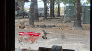DSC03100.JPG
