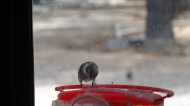 DSC03104.JPG