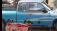 DSC03118.JPG