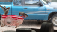 DSC03119.JPG