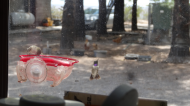 DSC03162.JPG