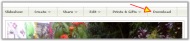 yahoo-photo-dl1.png