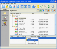 main-window.gif