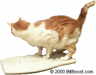 peanut-on-kybd-009.gif