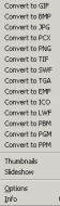 IrfanConverter.GIF