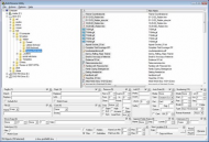bru1102.jpg