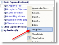 ws-snagit-hotkey.png
