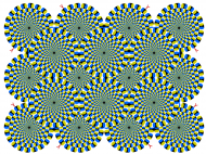 rotsnake.gif