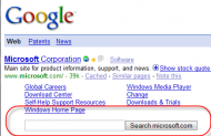 google-search-1.png