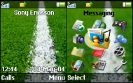 Soccer Fan.PNG
