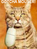 Cat With Mouse.jpg