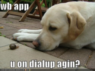 LOLMouser - App on Dialup.jpg