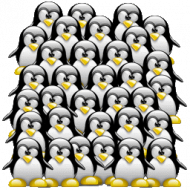 masstux.gif