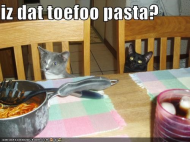 LOLMouser - Tofu Pasta.jpg