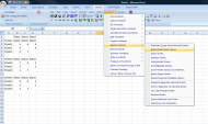 Spreadsheet Ass.png