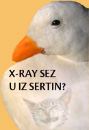 x-r.jpg