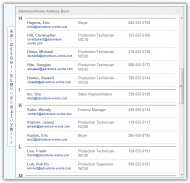 NET3.5ListView.png