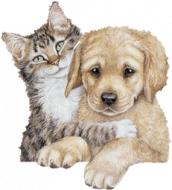 Cat & Dog.gif