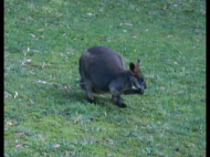 snapshot20090718193111.jpg