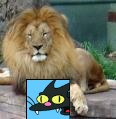 MousersCat.jpg