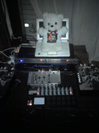 bear01.jpg