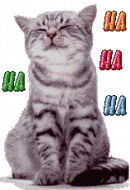 Laughing Cat 3.gif