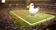 codystadium1.jpg