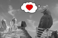 jackdaws.jpg