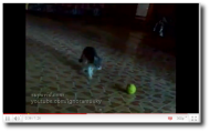Screenshot-3.png