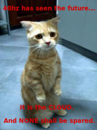 sad40cat.jpg