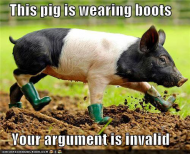 funny-pictures-this-pig-is-wearing-boots-your-argument-is-invalid.jpg