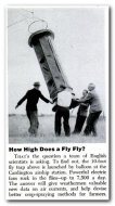 How High Does Fly Fly.png