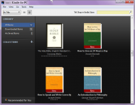 Kindle for PC UI 03.png