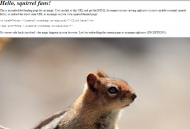 Chrome - squirrel.jpg