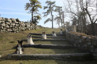 NJparkshelties.jpg
