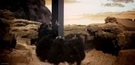 tumblr_ldjcvy6hNX1qe0eclo1_r3_500.gif