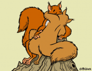 tumblr_mt84hx1Ld11qjpgmeo1_500.gif
