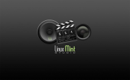 mintstudio.jpg