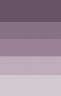 purple theme palette.png