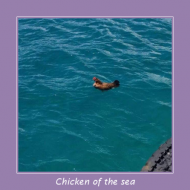 chicken.png