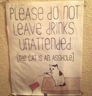 King of the Hill Cat Sign.png