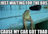 car Got Toad.png