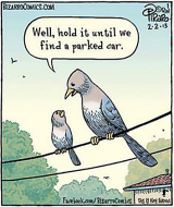 bird poop.png