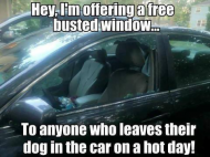 dog Bust a Window.png